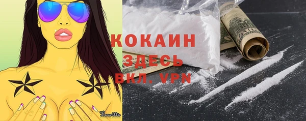 стаф Вязники